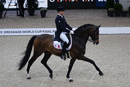 2018FEI-WORLD-CUP-DRESSAGE-Ludovic-Henry2.jpg