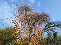 Saarbrücken, Oktober 2019