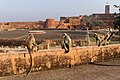 20191218 Semnopithecus entellus, Fort Jaigarh w Jaipurze 1553 9347.jpg