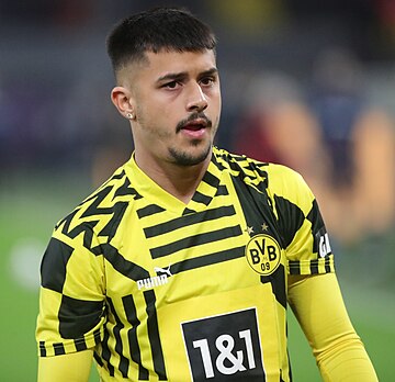 Lion Semić