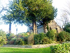 La chapelle Saint-Ruelin du Moustoir, son placître avec le calvaire et les deux ifs datant d'au moins 600 ans