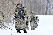 274th Close Air Support Squadron airmen during an exercise at Fort Drum 274th Close Air Support Training 150314-F-QU230-991.jpg