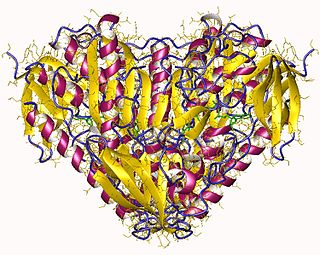 Fortune Salaire Mensuel de Thioredoxine Reductase Combien gagne t il d argent ? 1 000,00 euros mensuels