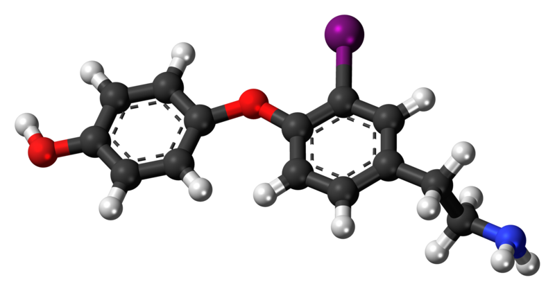 File:3-Iodothyronamine 3D ball.png