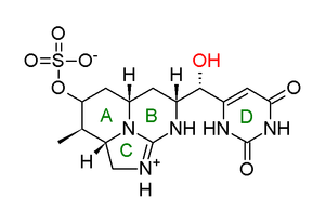 Figure 1. Initial incorrect proposed structure of cylindrospermopsin (CYN), with its four rings labelled (A-D). The incorrect feature was the orientation of the hydroxyl group. This epimer was later identified as 7-epicyclindrospermopsin. 7-epiCYN.png