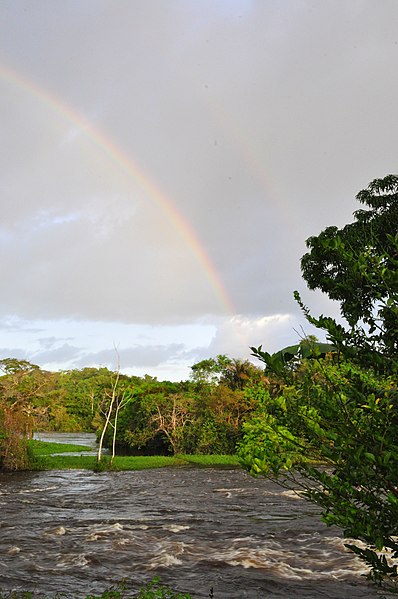 File:ALI, M. (2011-2013). Parc Amazonien de la Guyane. Fleuve Maroni. 1 (6).jpg