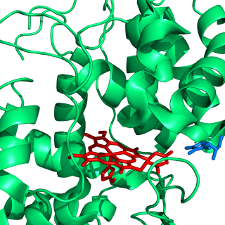 <span class="mw-page-title-main">Ascorbate peroxidase</span> Enzyme