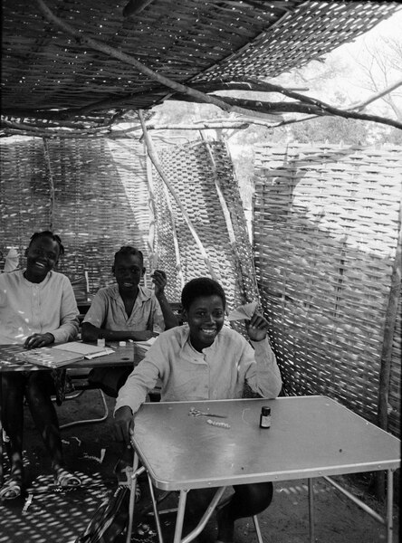 File:ASC Leiden - Coutinho Collection - 24 43 - Primary school in the liberated areas, Guinea-Bissau - 1974.tiff