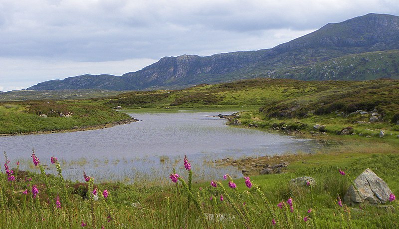 File:A corner of Loch Druidibeg (geograph 3065676).jpg