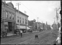 A dog on the street in front of G. D. Atkinson Flour and Feed, 208 Pitt St., Cornwall, c. 1908 A dog on the street in front of G. D. Atkinson Flour & Feed 208 Pitt St Cornwall ca. 1908 (I0013581).tiff