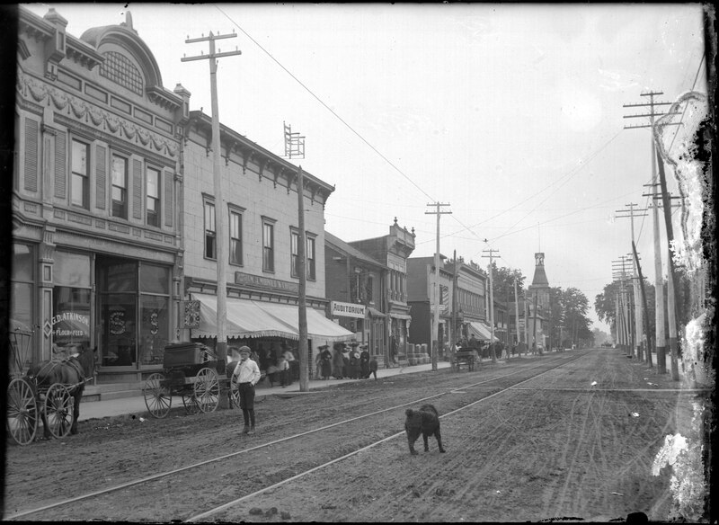 File:A dog on the street in front of G. D. Atkinson Flour & Feed 208 Pitt St Cornwall ca. 1908 (I0013581).tiff