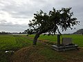 2020年9月19日 (土) 03:28時点における版のサムネイル