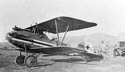 Albatros D Va Палестинада тұтқынға алынды 1918.jpg