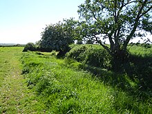 Aldeburgh Hall Pit 5.jpg