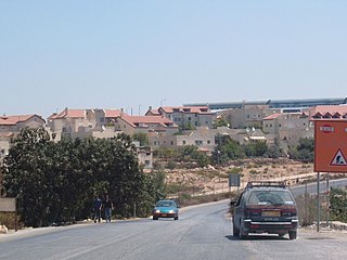 <span class="mw-page-title-main">Alon Shvut</span> Israeli settlement in the West Bank