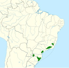 Mapa de distribuição do papagaio-de-peito-roxo