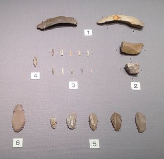 <span class="mw-page-title-main">Araya Site</span> Japanese Paleolithic settlement