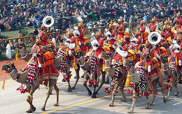 The BSF Camel Contingent during the 2015 parade.