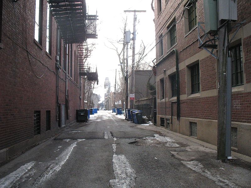 File:Back alleyway in Chicago's Hyde Park neighborhood (4351444801).jpg