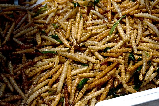 Bamboo worms, Bangkok, Thailand