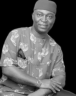 <span class="mw-page-title-main">Chris Okewulonu</span> Nigerian politician