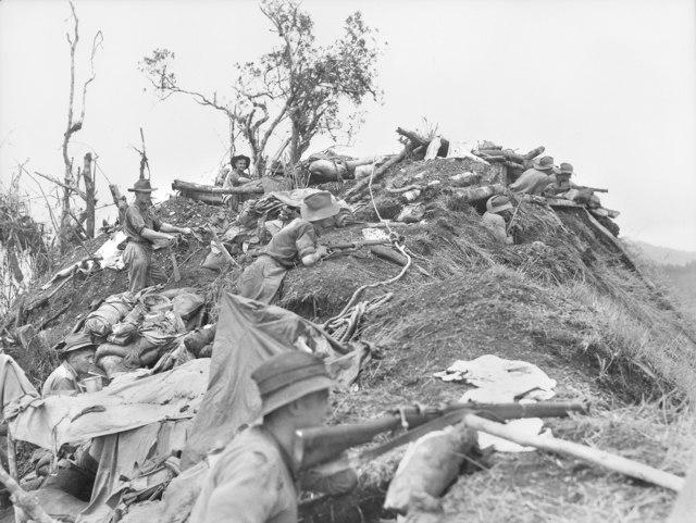 Members of 'C' Company, Australian 2/9th Infantry Battalion, digging in at a newly occupied part of Shaggy Ridge on 23 January 1944