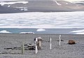 Graves from Franklin Expedition (1997)