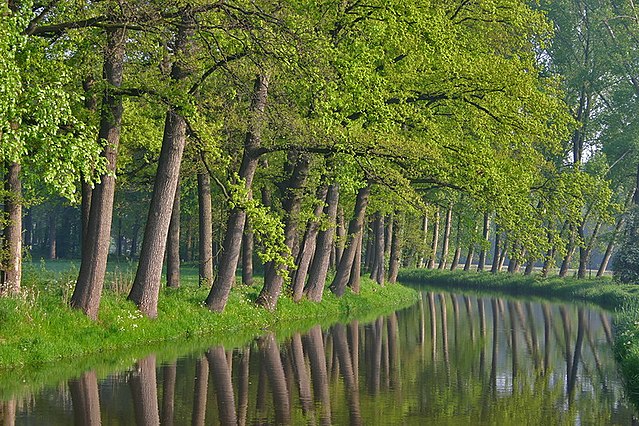 Romantisch stukje Aa nabij Beek en Donk.Foto: Jan Weijers, Helmond