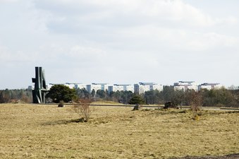 Flogsta höghus från Berthåga kyrkogård.