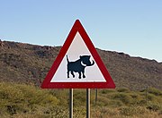   Beware of warthogs