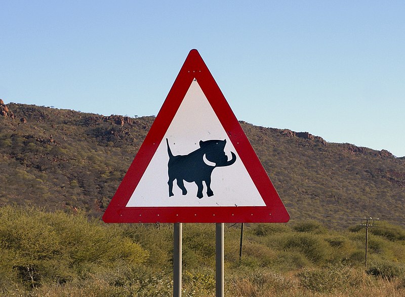 File:Beware of warthog.jpg