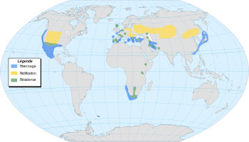 Distribución de P. nigricollis. Verde:residente; azul:invernante; amarillo:nidificante