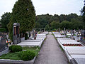 Old Protestant cemetery