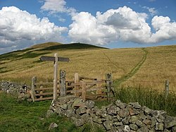 Sınır çiti ve Eccles Cairn - geograph.org.uk - 1438488.jpg