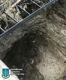 A dug out hole with stone walls, iron ladder and tree branches laid over it.