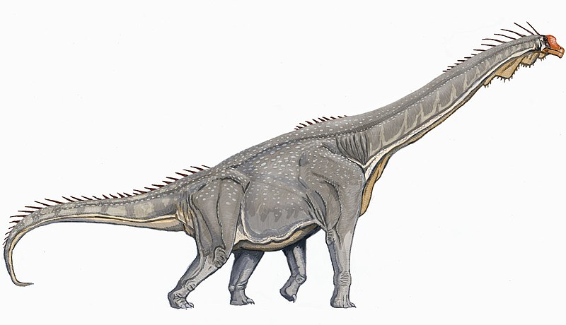 File:Brachiosaurus DB flipped.jpg