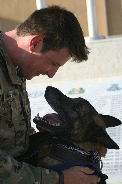 File:Bronco and Mariana, MWD team carries on bond of respect, friendship 120312-A-XX000-002.jpg