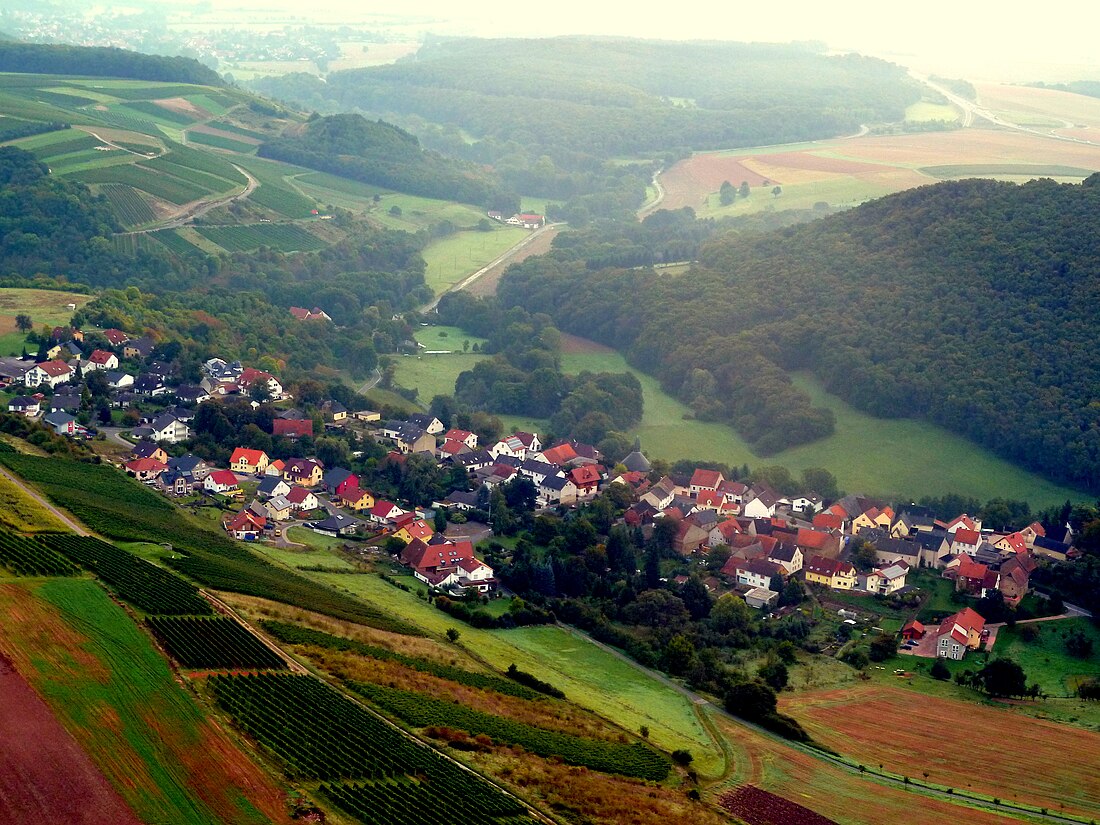 Burgsponheim