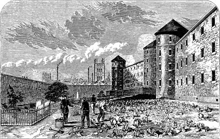 Долговых тюрем. Тюрьма 1868 Лондон. Тюрьма Миллбэнк. Белмарш тюрьма Англия. Пентонвиль тюрьма.