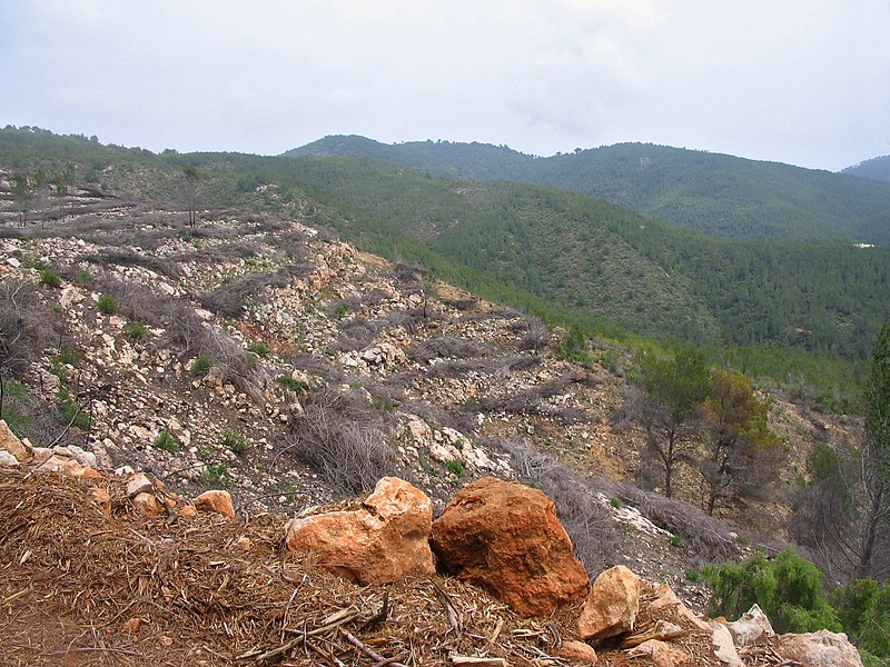 File:Camí de pujada a sa Torreta, Morna - panoramio.jpg