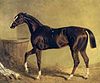 English racehorse Camarine, painted by John Frederick Herring, Sr.