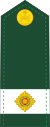 Canadian Army OF (D) (2016-2017).svg