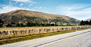 <span class="mw-page-title-main">Cardrona Bra Fence</span> Tourist attraction in New Zealand