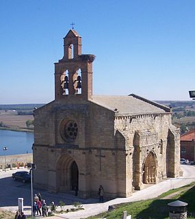 <span class="mw-page-title-main">Castronuño</span> Place in Castile and León, Spain