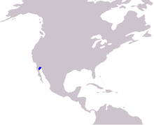 Mappa dei cetacei Vaquita.PNG