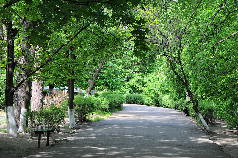 File:Cherkasy 1st Hospital Park 05.JPG