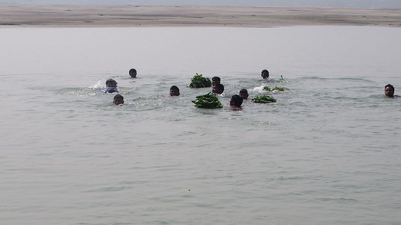 File:Children swimming in Jamuna River 31.jpg