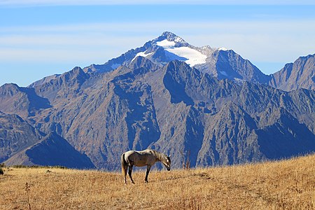 Pasture in mountains near Krasnaya Polyana, Sochi