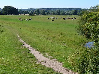 <span class="mw-page-title-main">Cock Marsh</span> Bedfordshire marshland