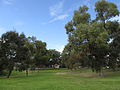 Whitfords East Park, Craigie, Western Australia.